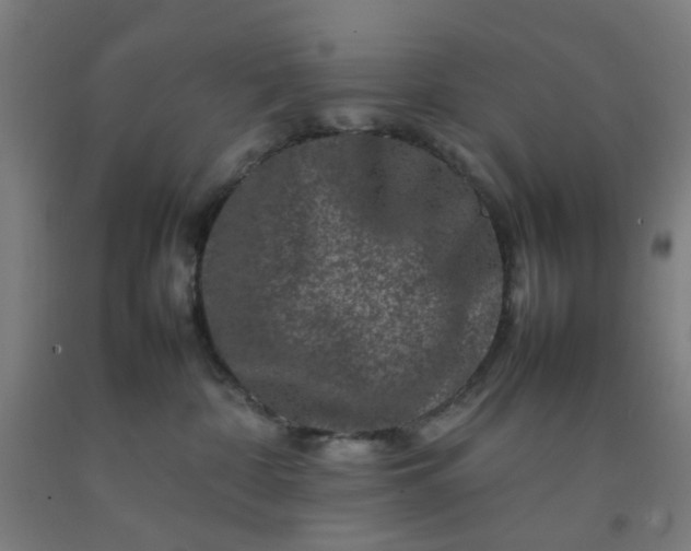 X0000092230332200709281109