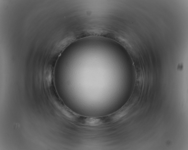 X0000092230334200709281109