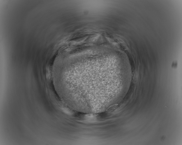 X0000092230335200709281109