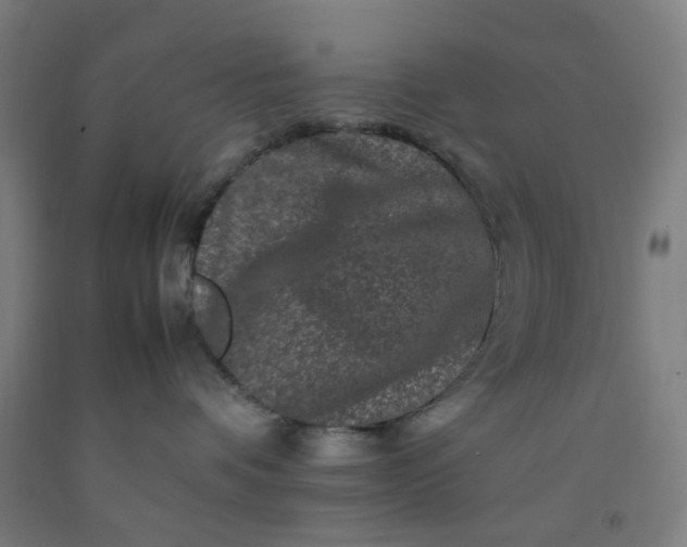 X0000092230336200709281109