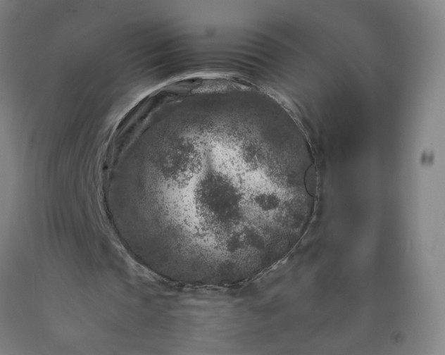 X0000092230337200709281108