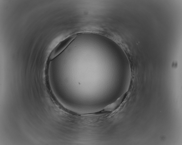 X0000092230340200709281108