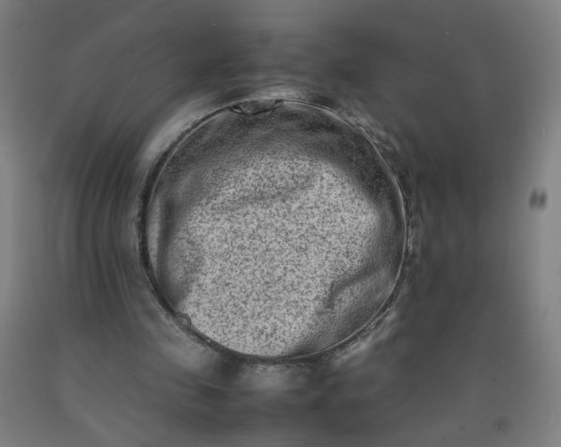 X0000092230341200709281109