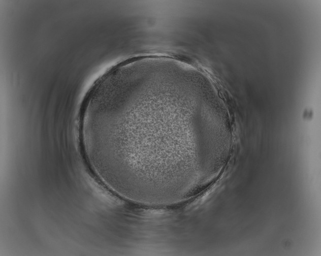 X0000092230342200709281109