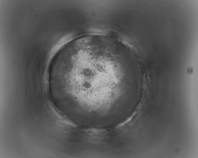 X0000092230343200709281109