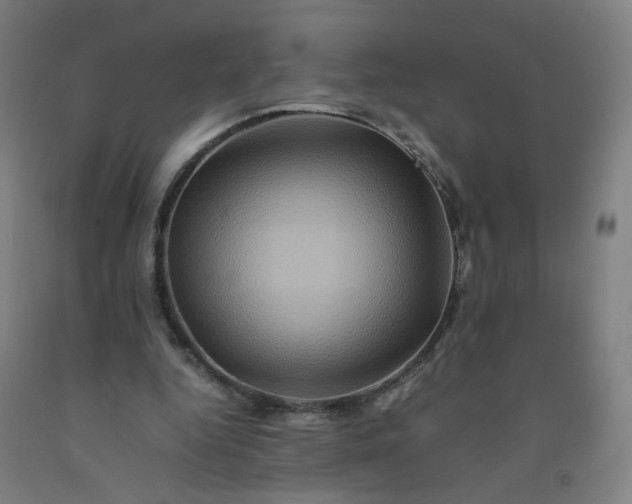 X0000092230344200709281109