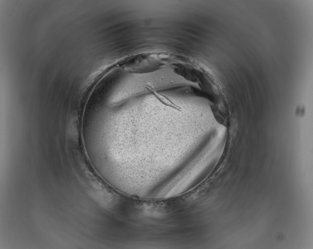 X0000092230345200709281109