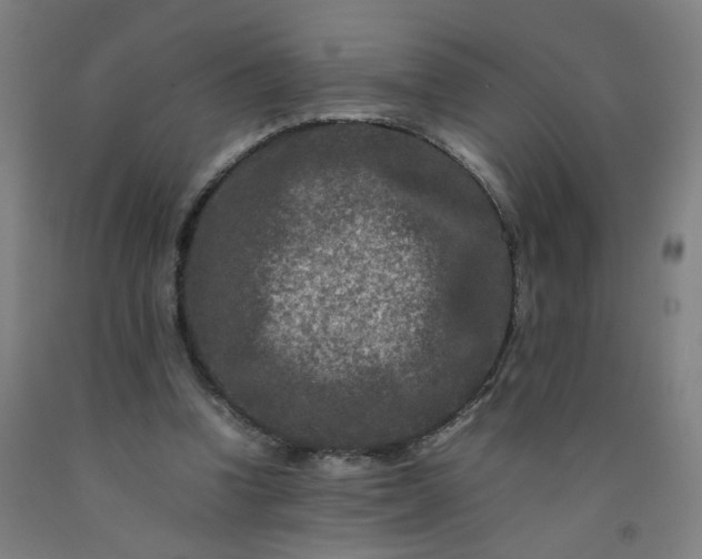 X0000092230346200709281109