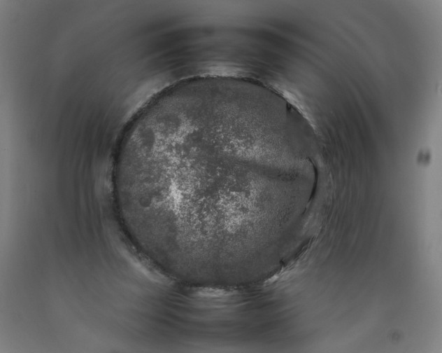 X0000092230347200709281109