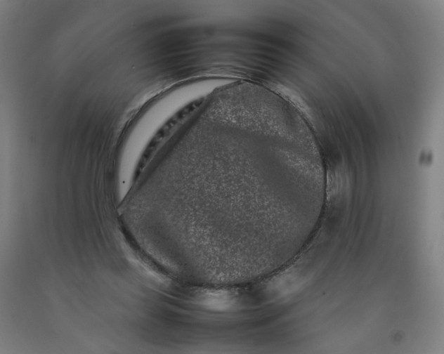 X0000092230349200709281109