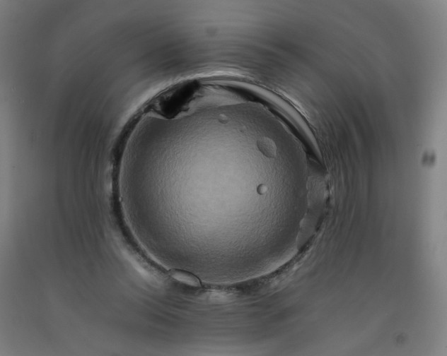 X0000092230350200709281109