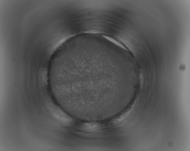 X0000092230351200709281109