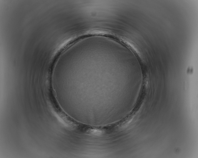 X0000092230352200709281109