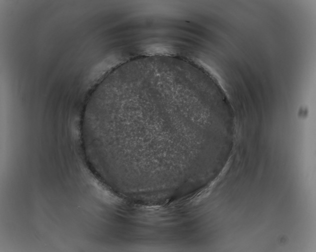 X0000092230353200709281109