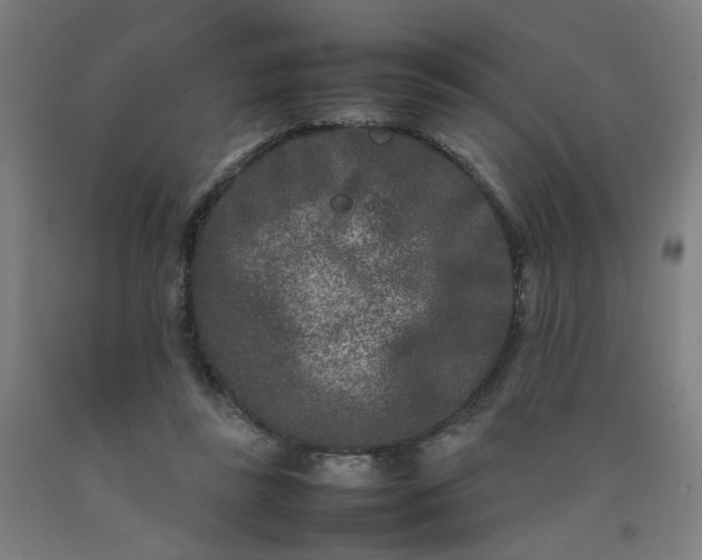 X0000092230355200709281109