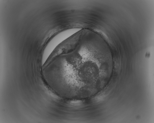 X0000092230357200709281109