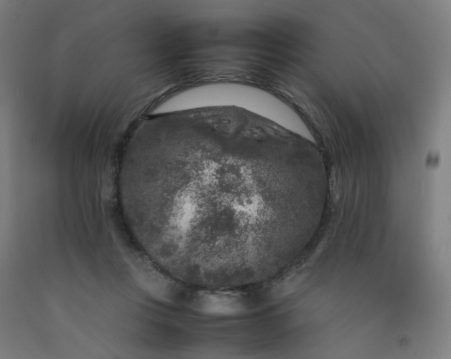 X0000092230359200709281109