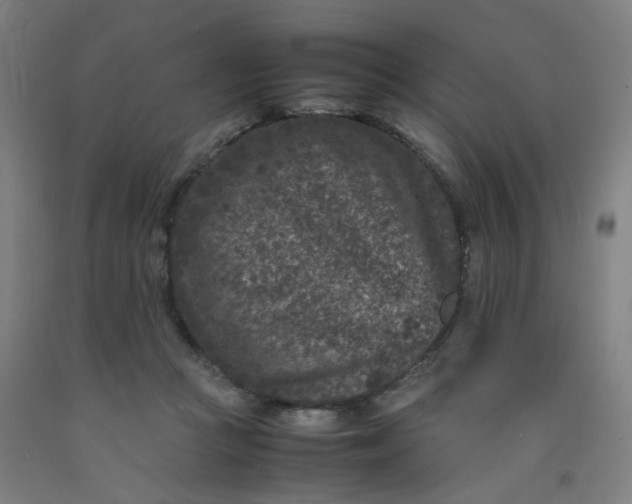 X0000092230361200709281109