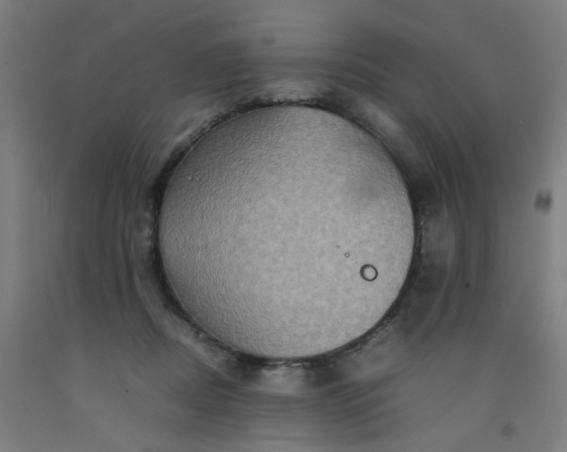 X0000092230362200709281109