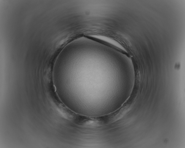 X0000092230364200709281109