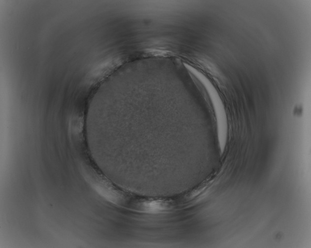 X0000092230365200709281109