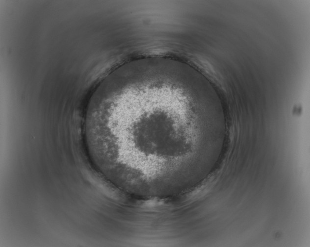 X0000092230366200709281109