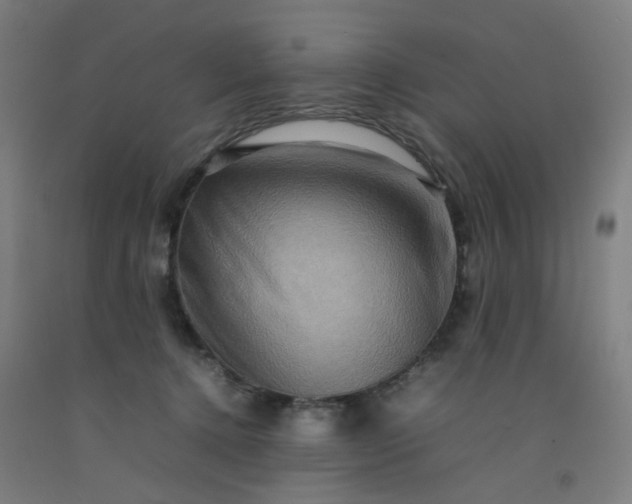 X0000092230368200709281109