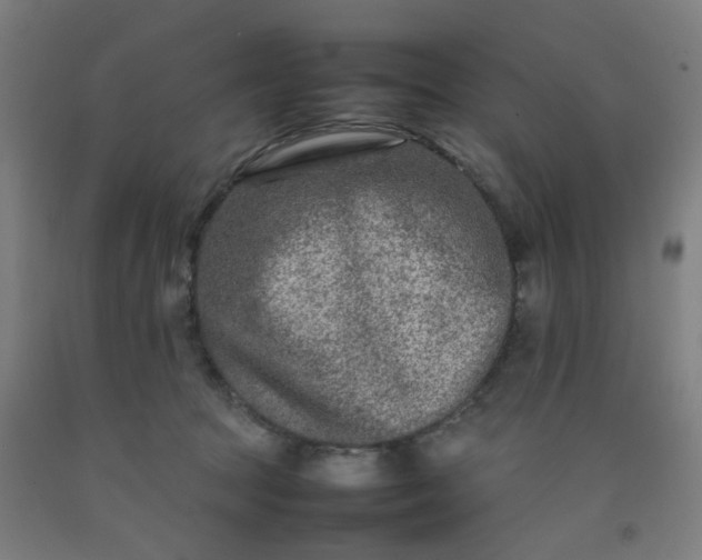 X0000092230369200709281109