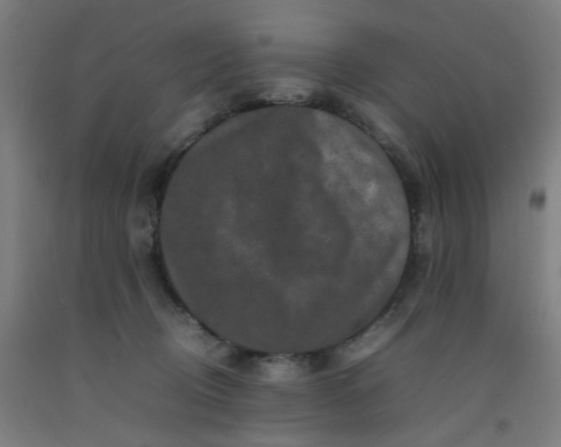 X0000092230370200709281109