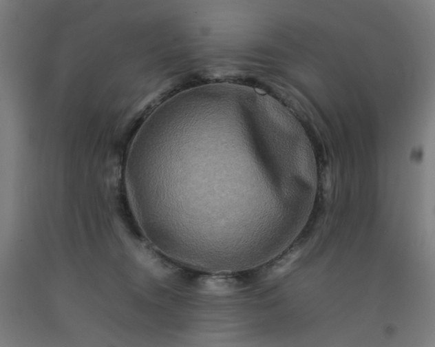 X0000092230372200709281109