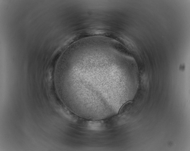 X0000092230373200709281109