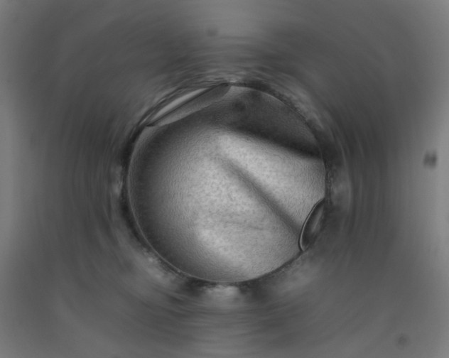 X0000092230374200709281109