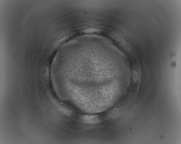 X0000092230375200709281109