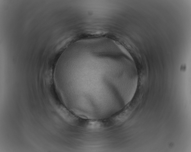 X0000092230376200709281109