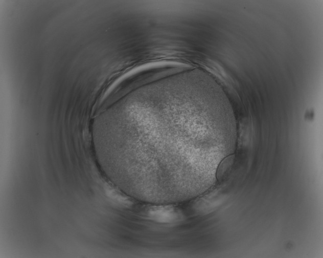 X0000092230377200709281109