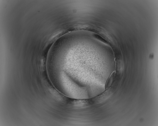 X0000092230378200709281109