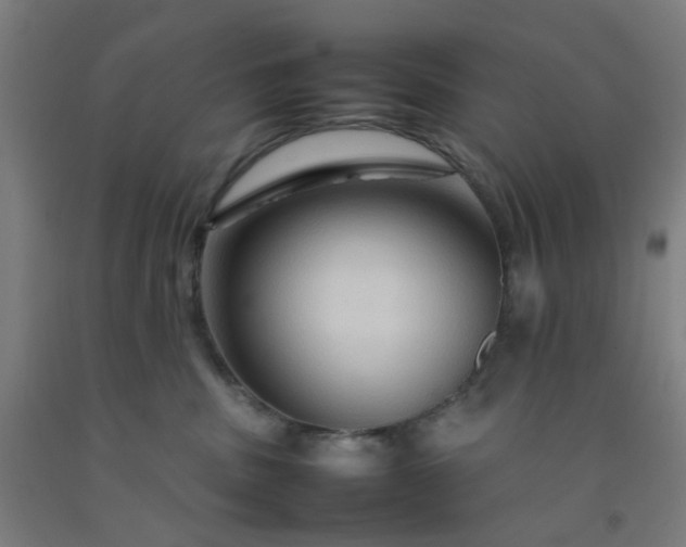 X0000092230379200709281109