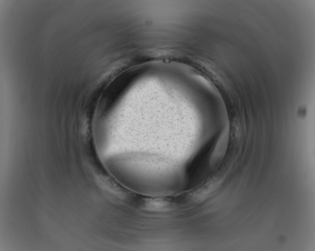 X0000092230380200709281109