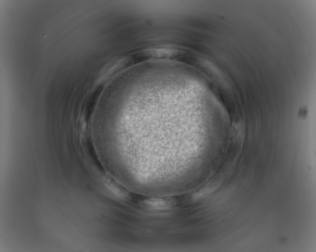 X0000092230381200709281109