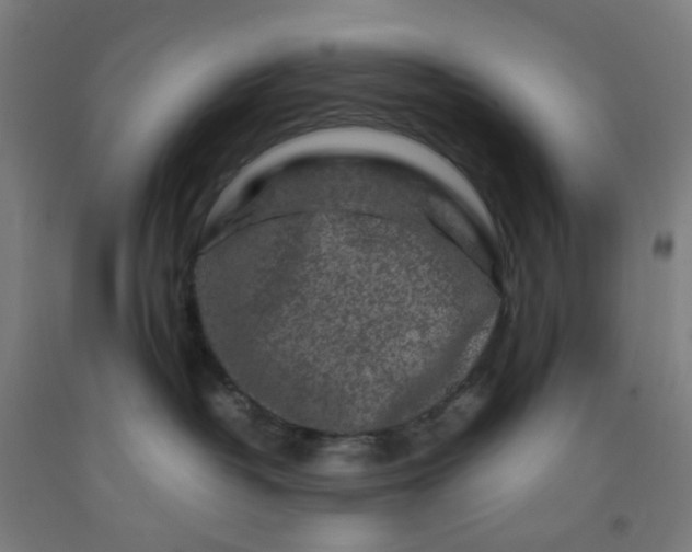 X0000092230382200709281109