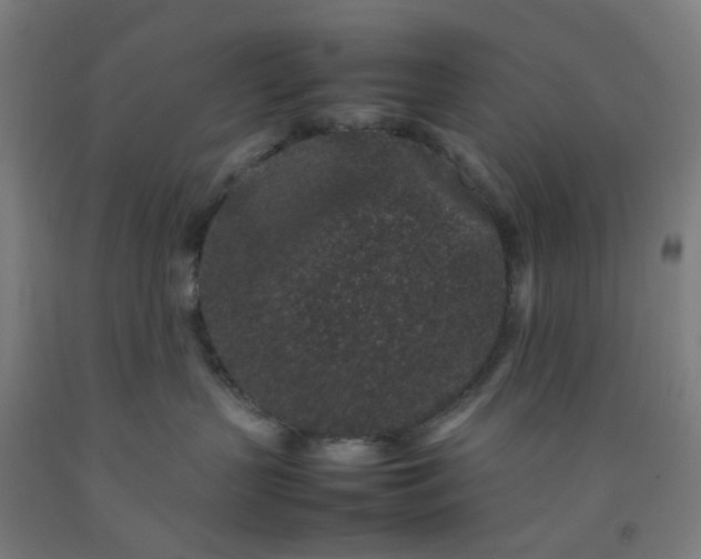 X0000092230383200709281109