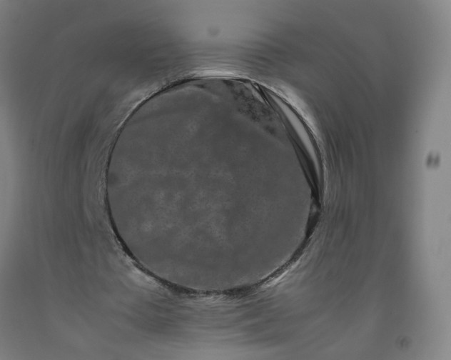 X0000092230385200709281108