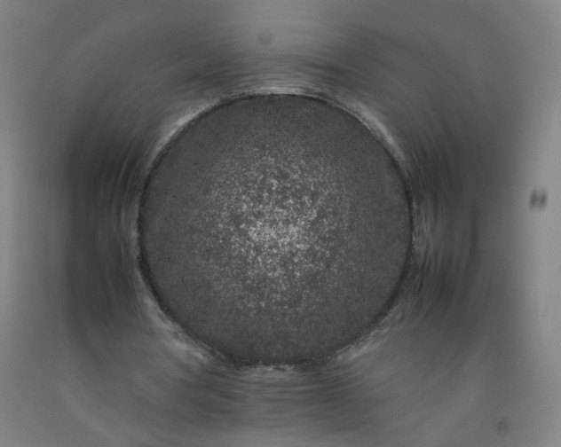 X0000092230386200709281108