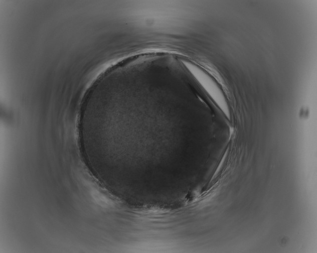 X0000092230387200709281108