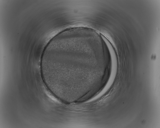 X0000092230389200709281108