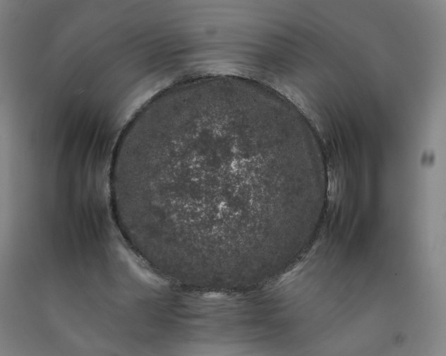 X0000092230390200709281108