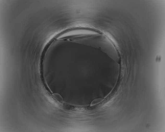 X0000092230391200709281108