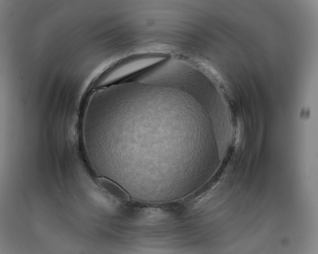 X0000092230392200709281108