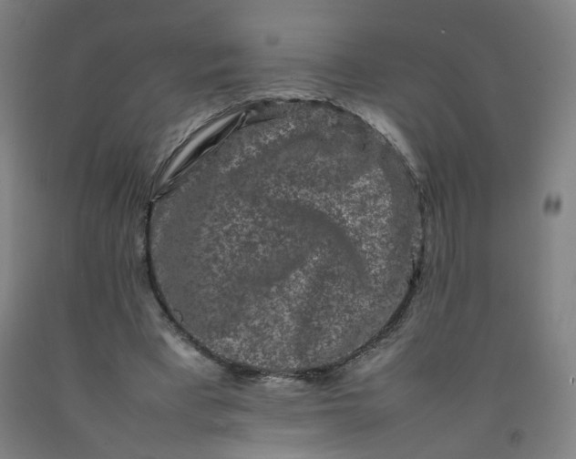 X0000092230393200709281108