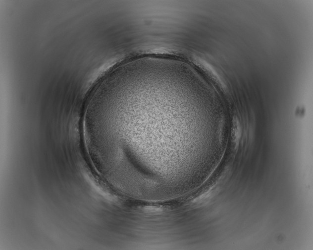 X0000092230394200709281108